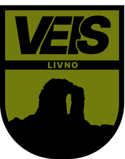 VEIS