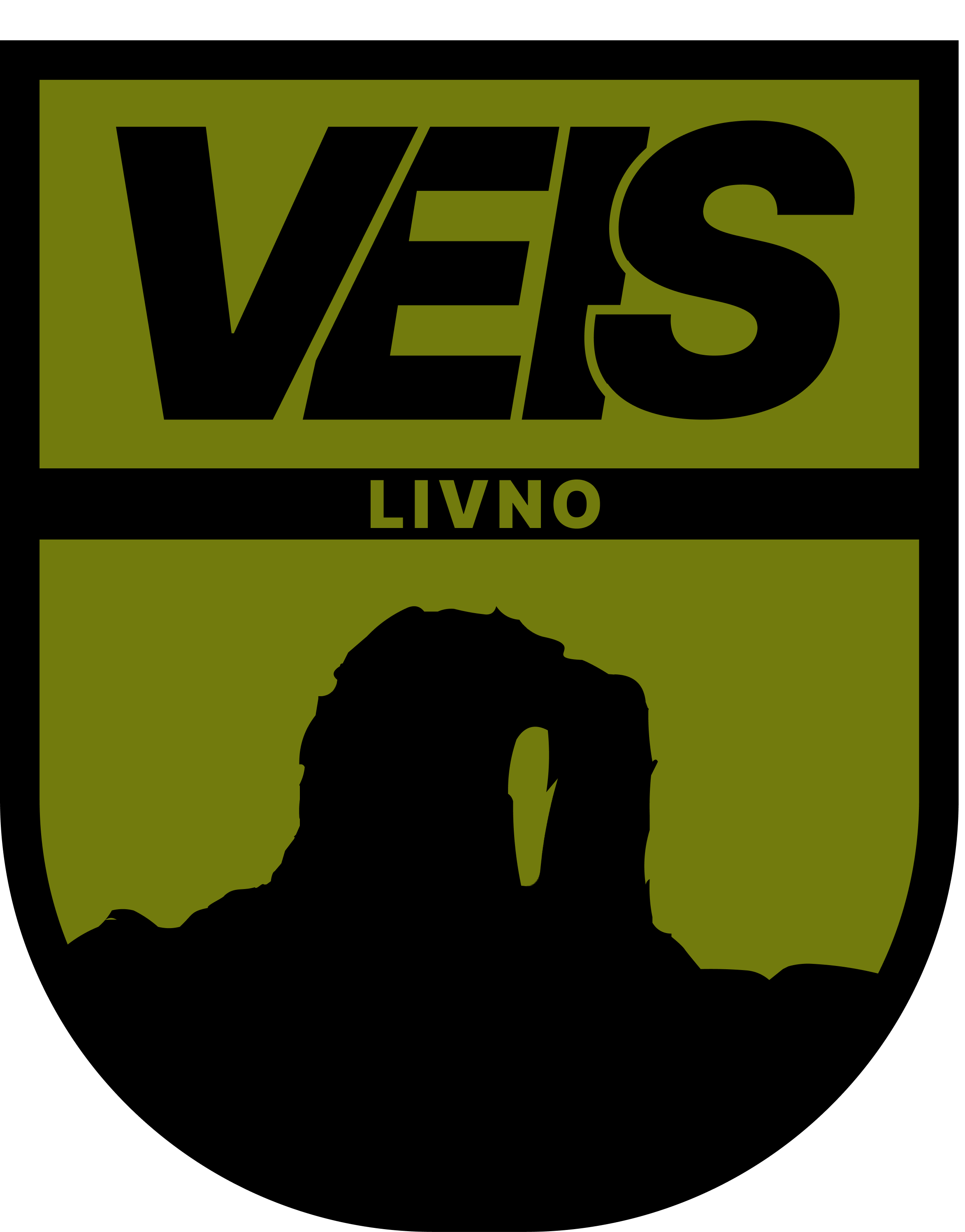 VEIS